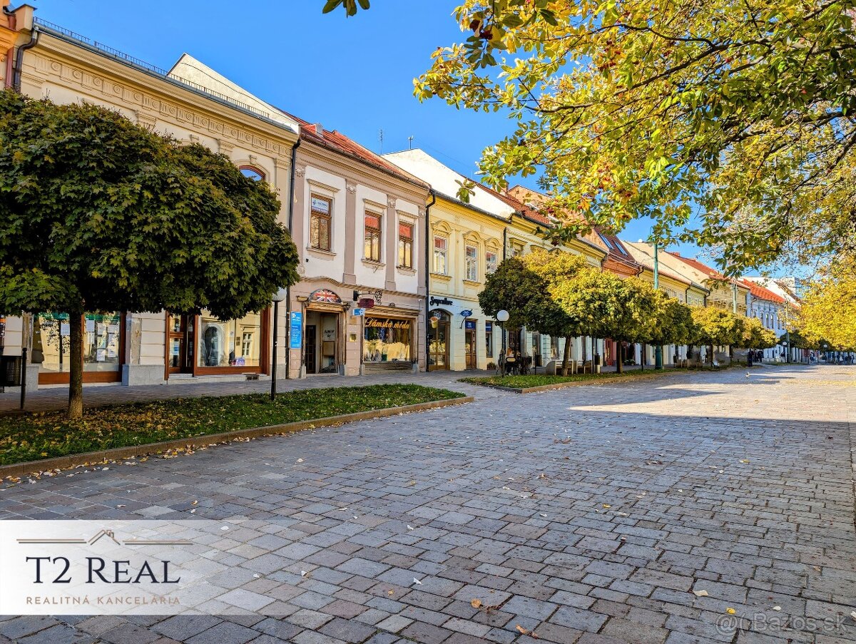 NEBYTOVÝ PRIESTOR - 72 m2 - HLAVNÁ ul. PREŠOV - 10