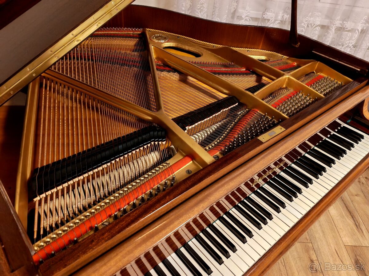 Nepremeškajte Najmenšie klavírne krídlo - 10