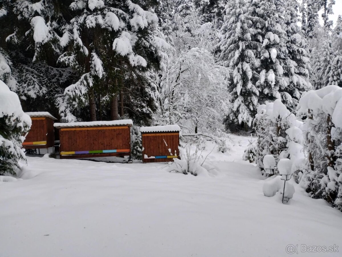 Predam domec pre 5 ulov - 10