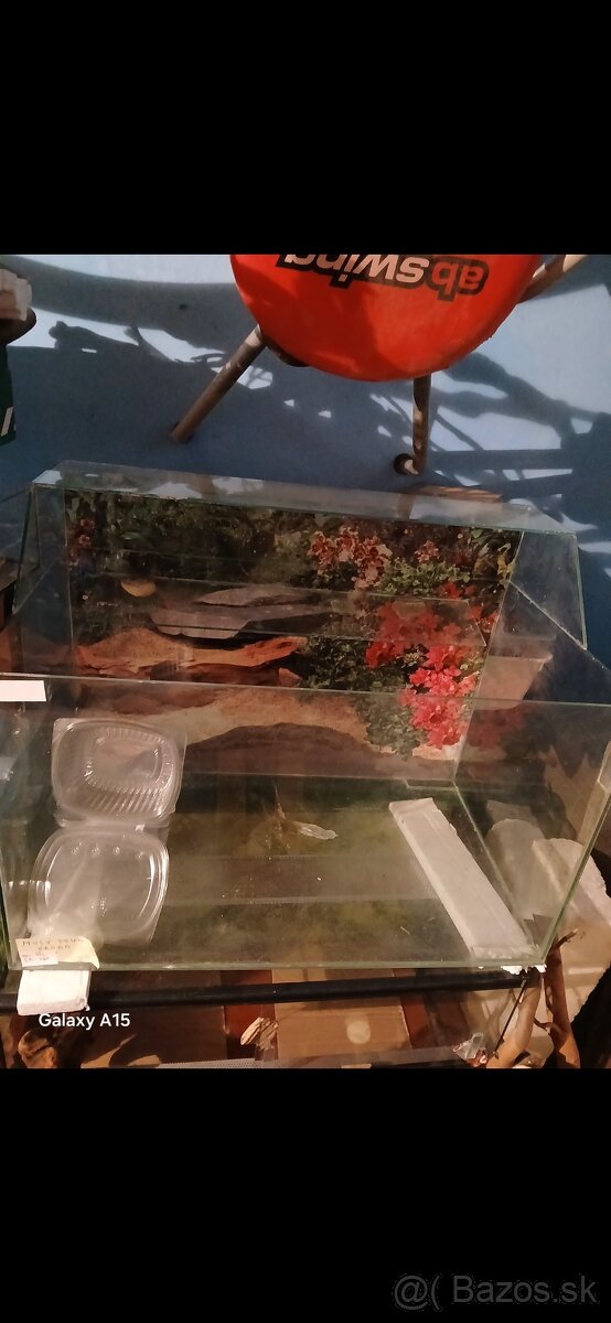 Voľne TERÁRIA - 10