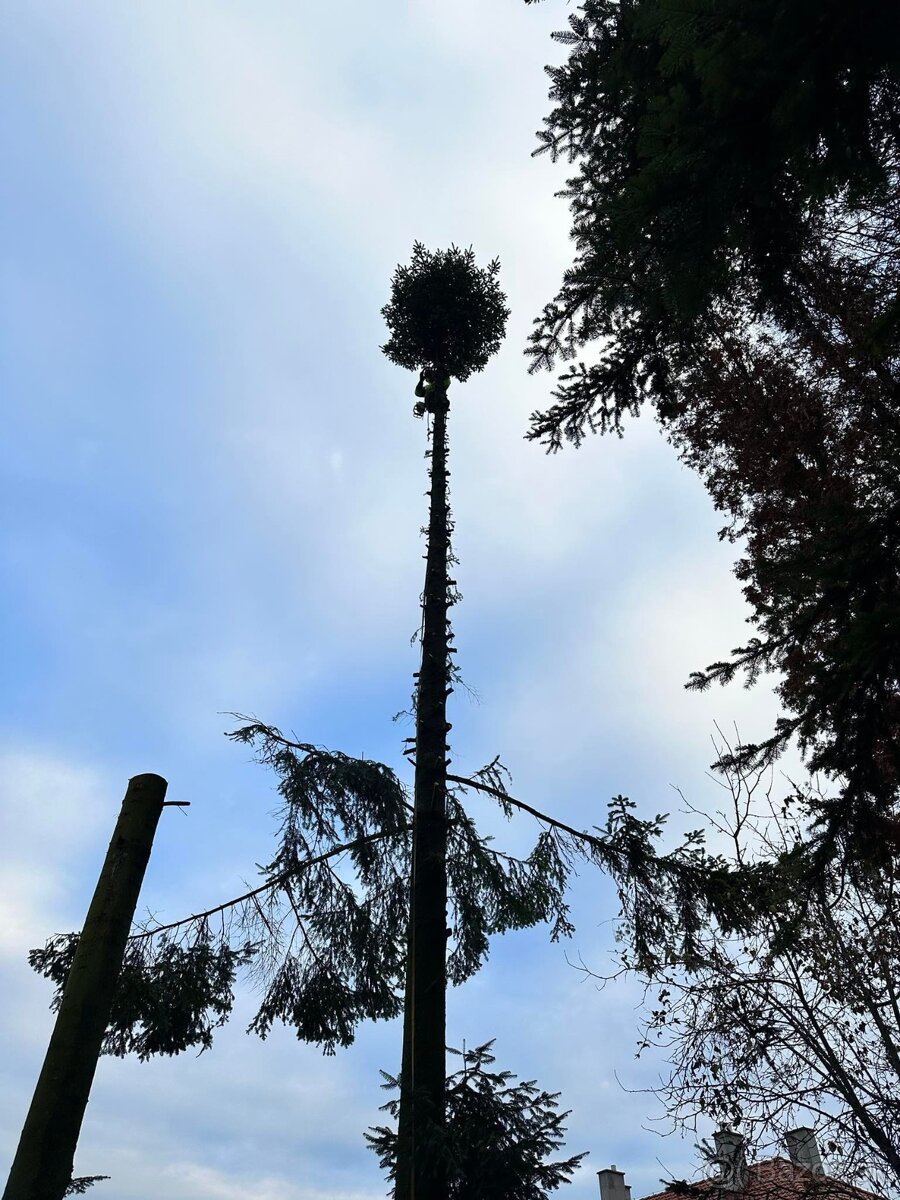 Stavebné a záhradnícke práce - 10