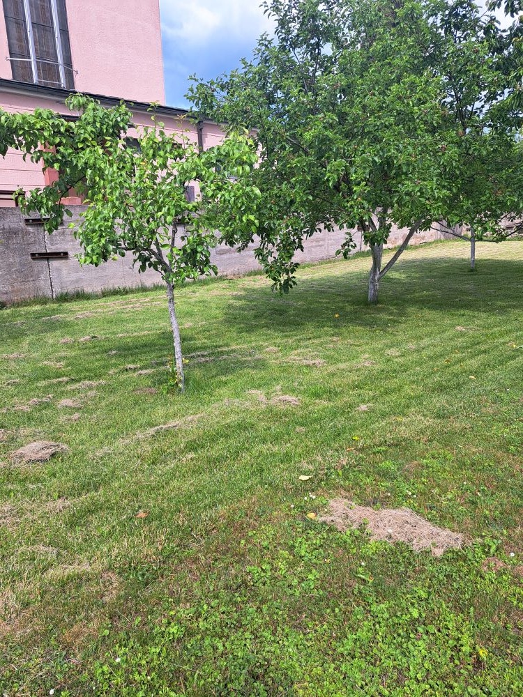 Pozemok s chalupou a inžinierskymi sieťami v Liskovej - 10