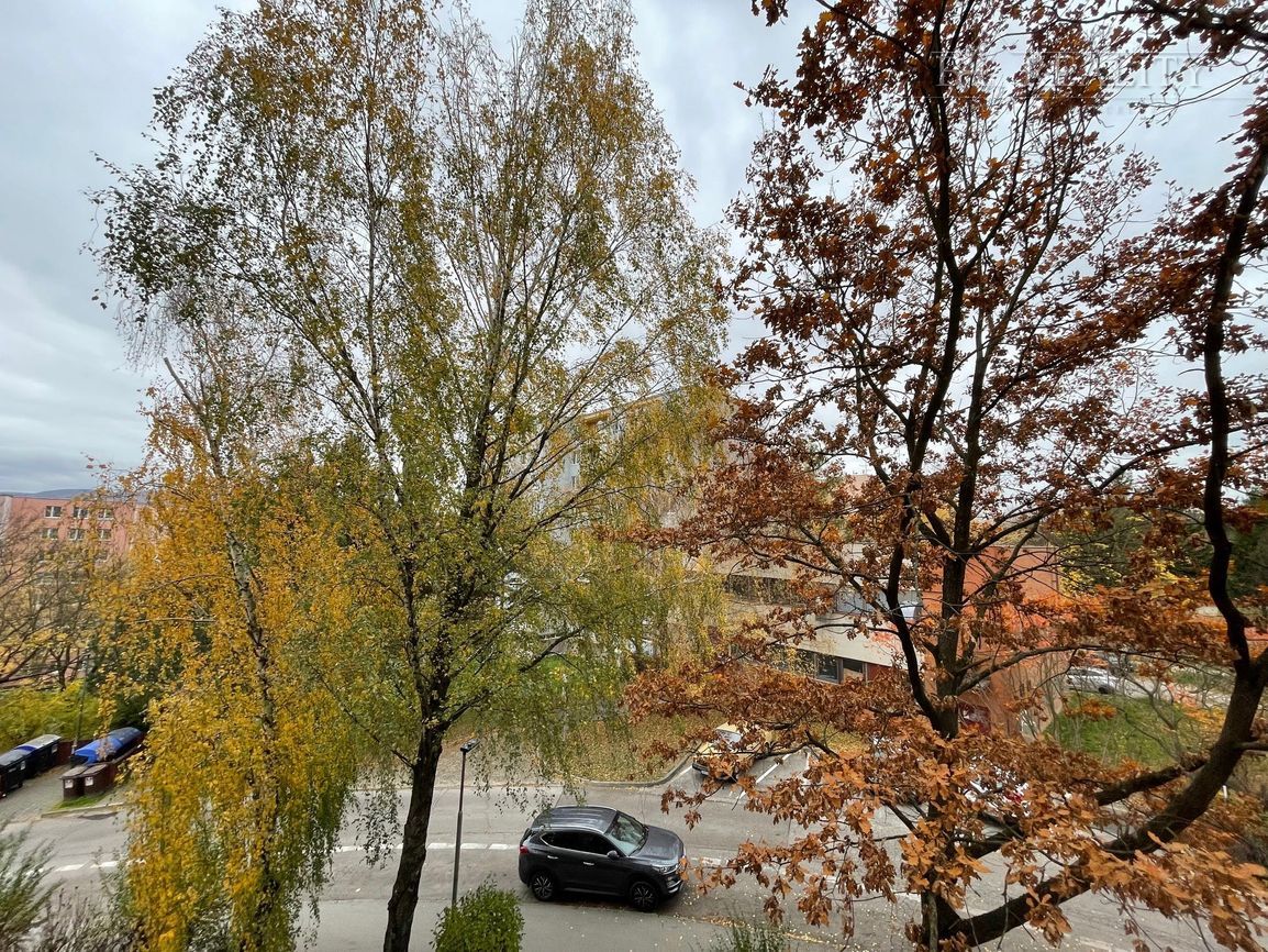 3 izbový byt, 68 m2 + priestranná presklená lodžia, Bazovské - 10