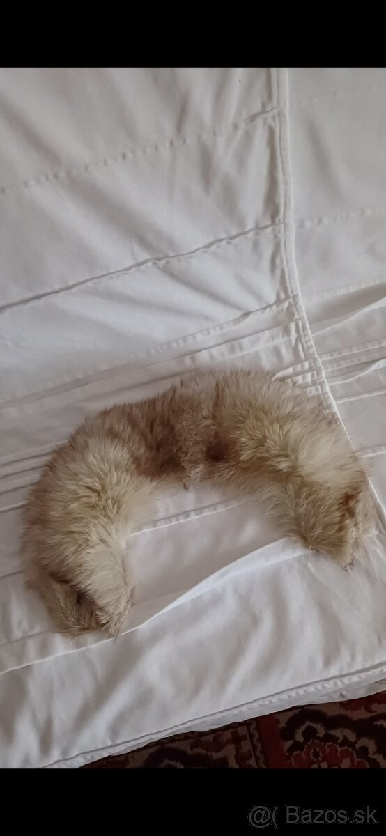 Golier- čiapka polárna líška - 10