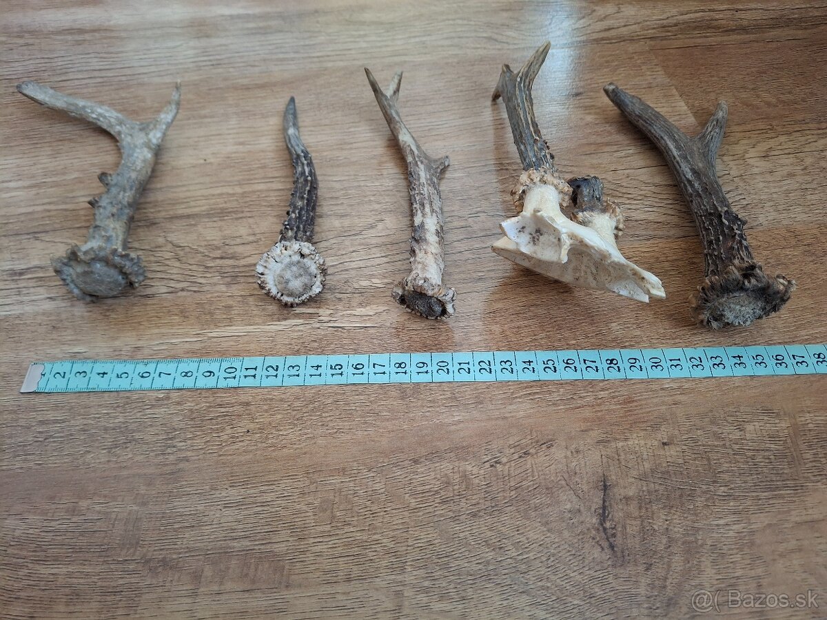 Kľúče od motorky Czechoslovakia - 10