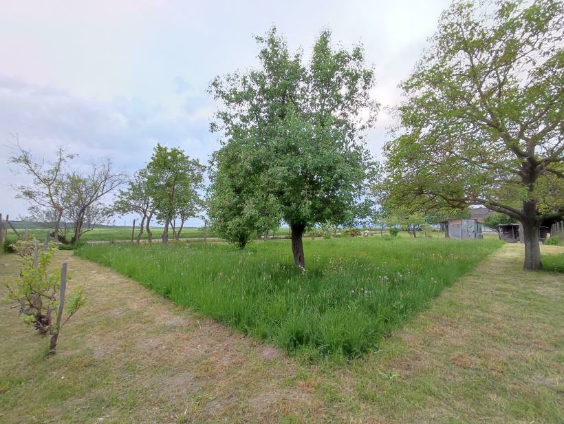 Chata pod Lipov - 10