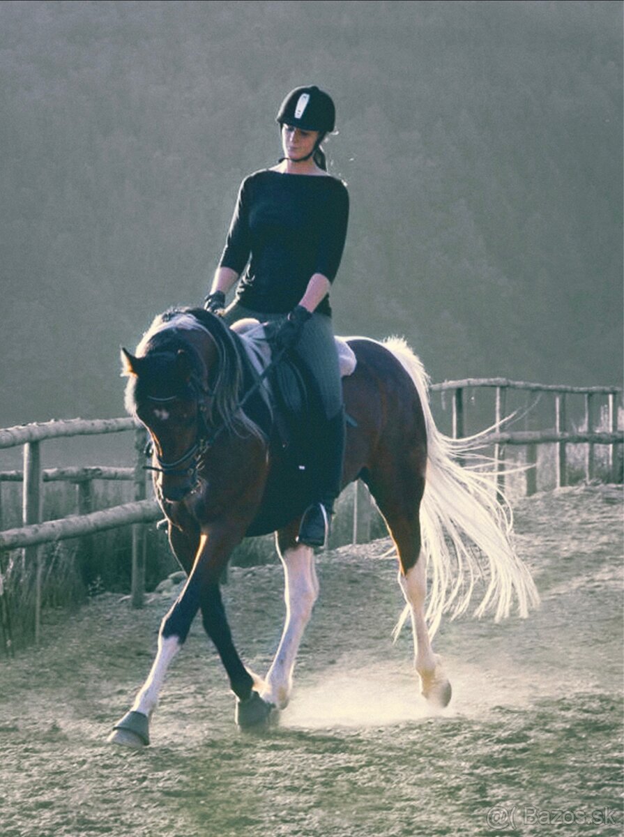 Výnimočná kobylka na predaj - 10