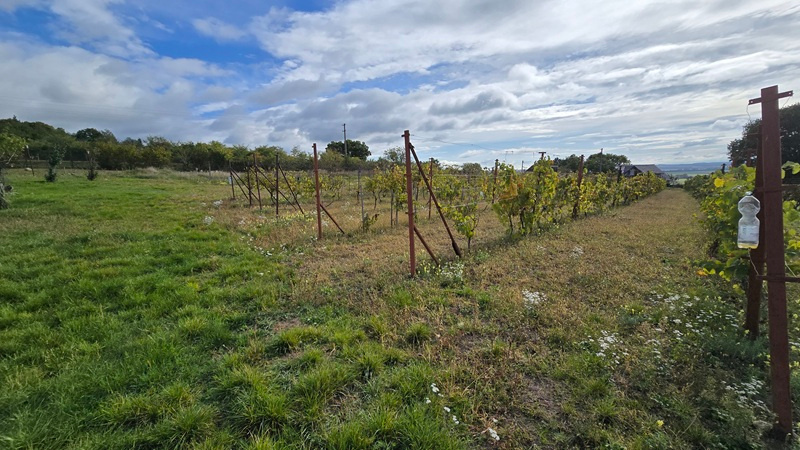 Veľký pozemok v obci Rybník - časť Kráľovka o výmere 3097 m2 - 10