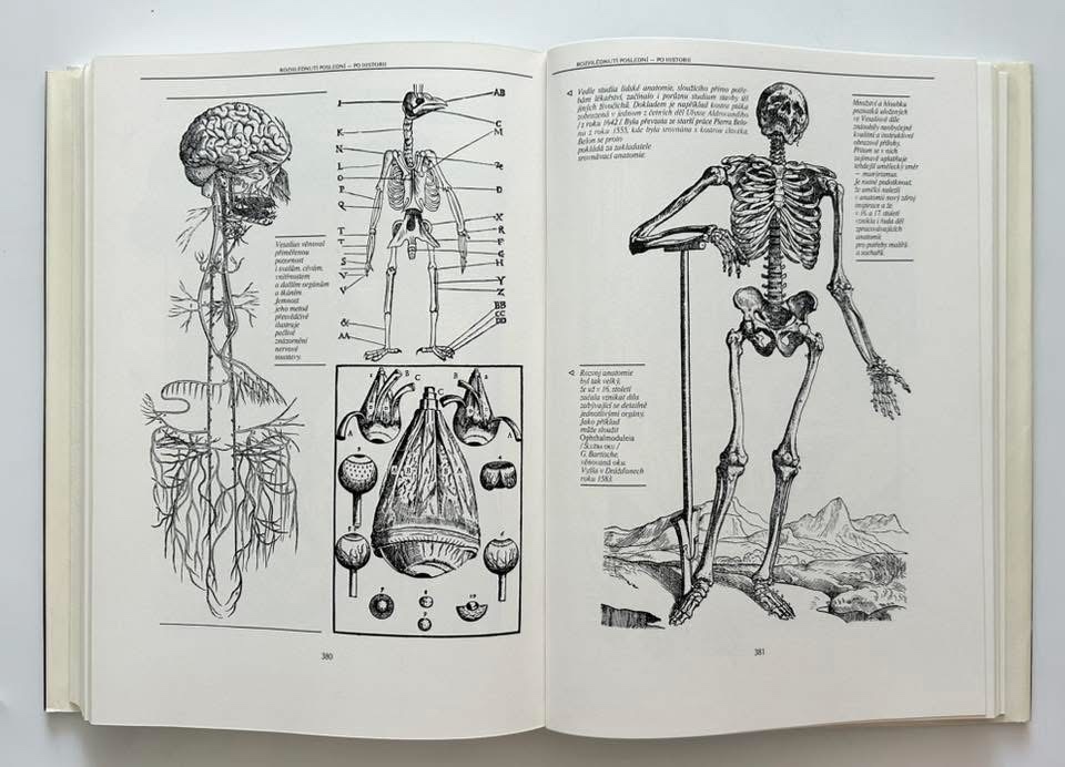 Nádherná séria encyklopédií - 10