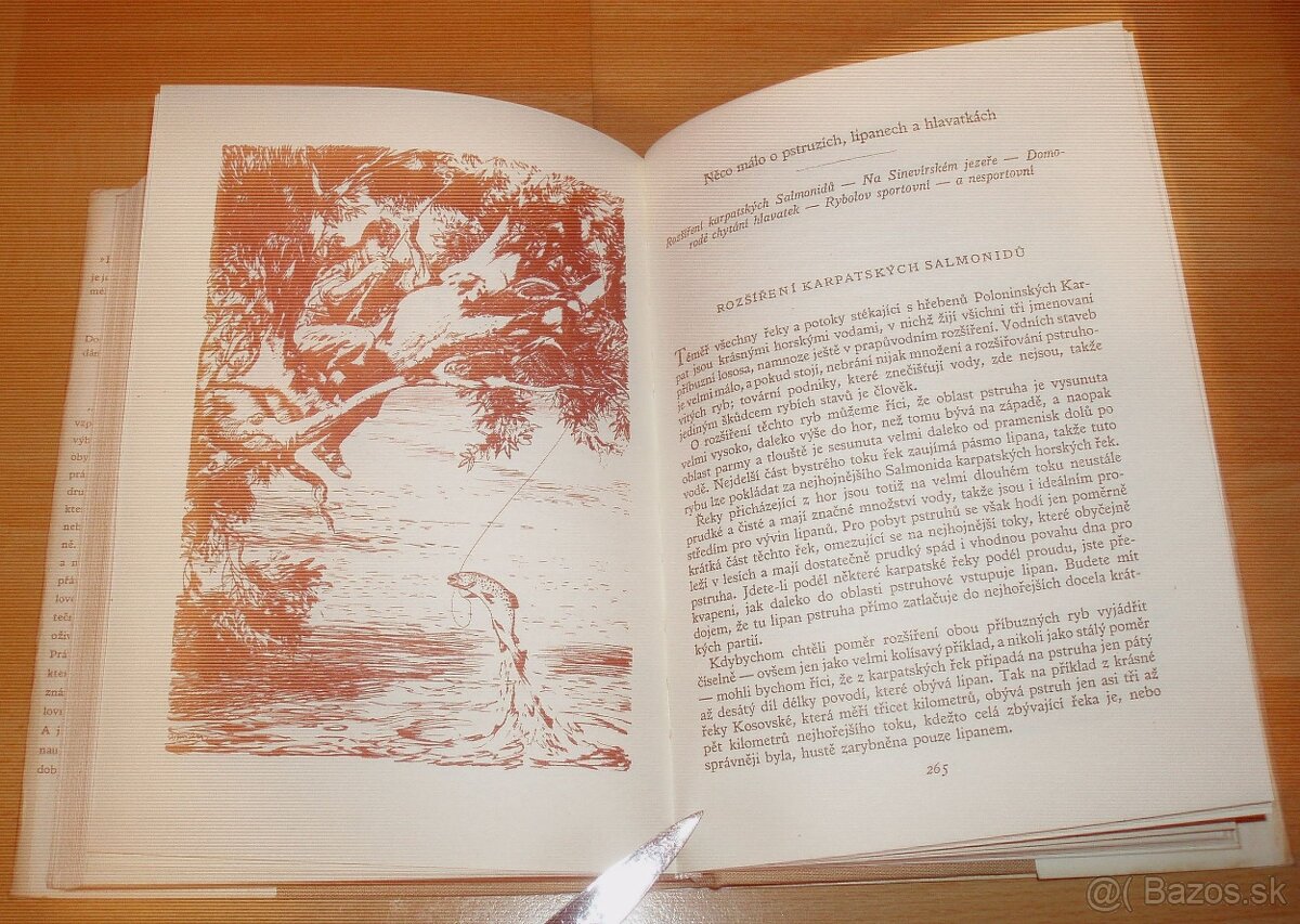 Lovy v Karpatech - 10