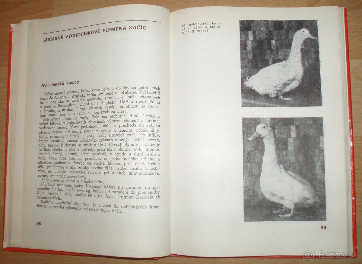 Najvýkonnejšie plemená a typy hydiny - 10