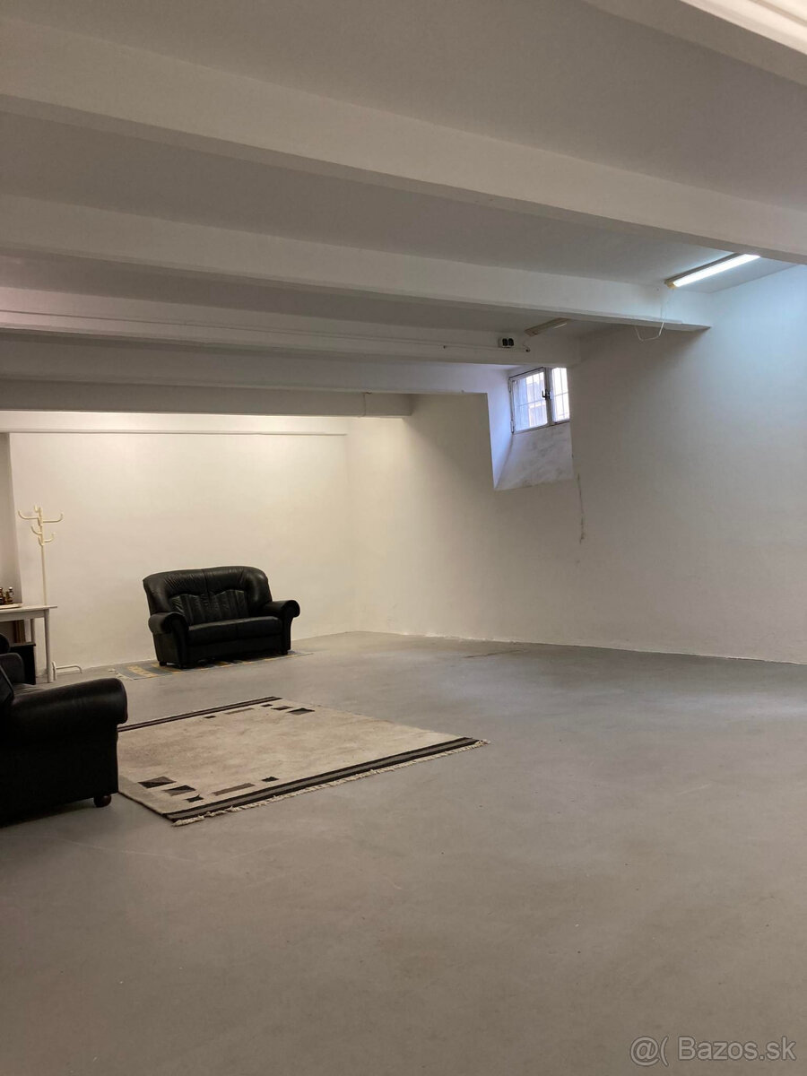 Prenajmem nebytový priestor v centre BA vhodný na služby - 10