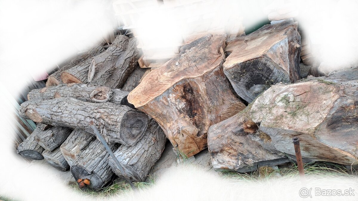 Predam orechove drevo - 10