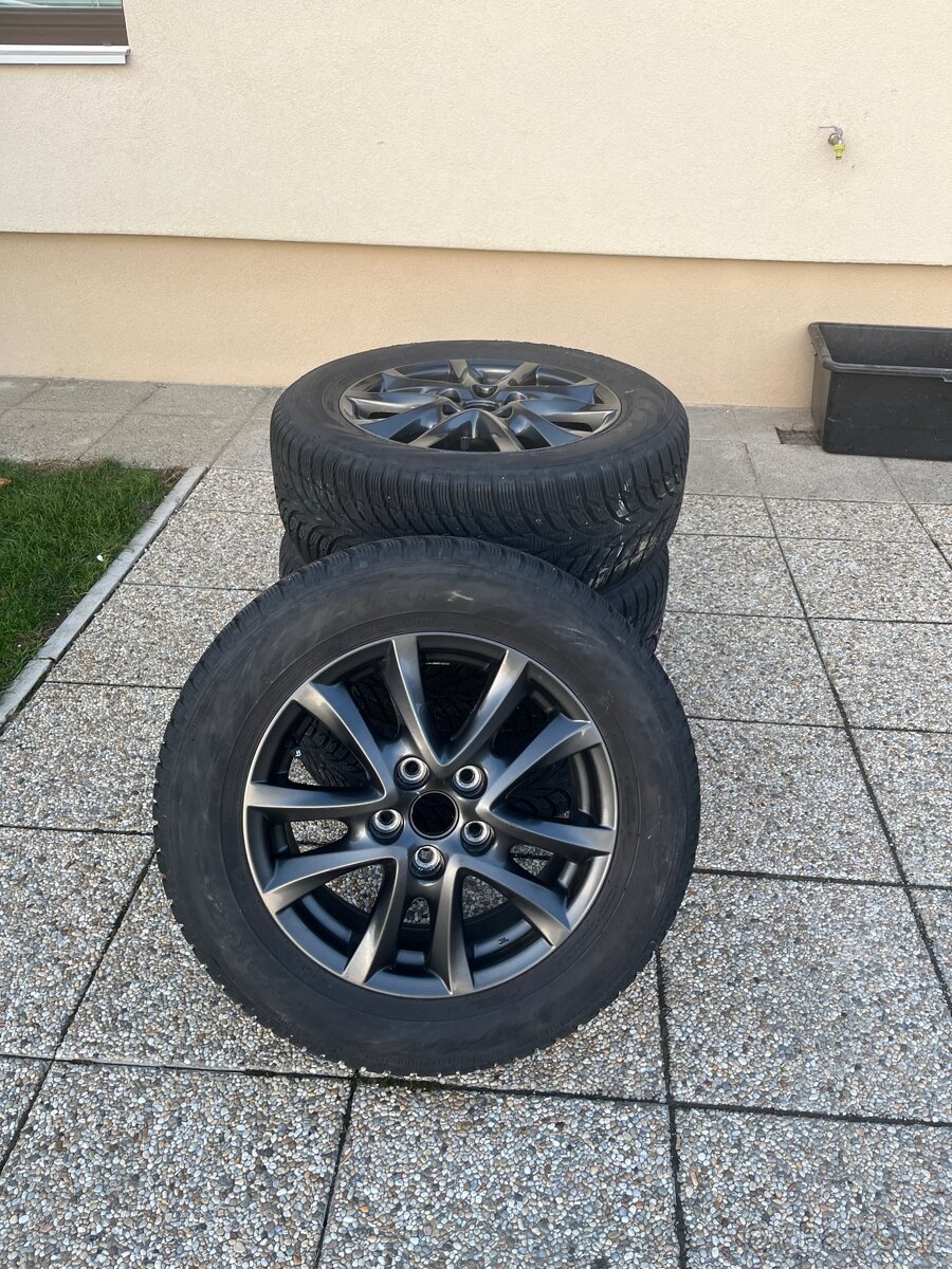 Zimna sada MAZDA R16 - 10