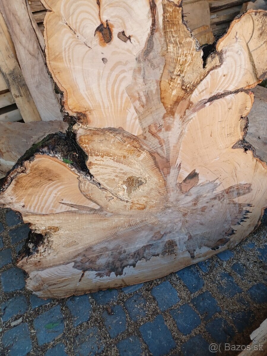 Suché koláče z Habra a Buka - 10