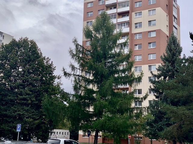 Prečo si kúpiť práve tento jedinečný dizajnový byt? - 10