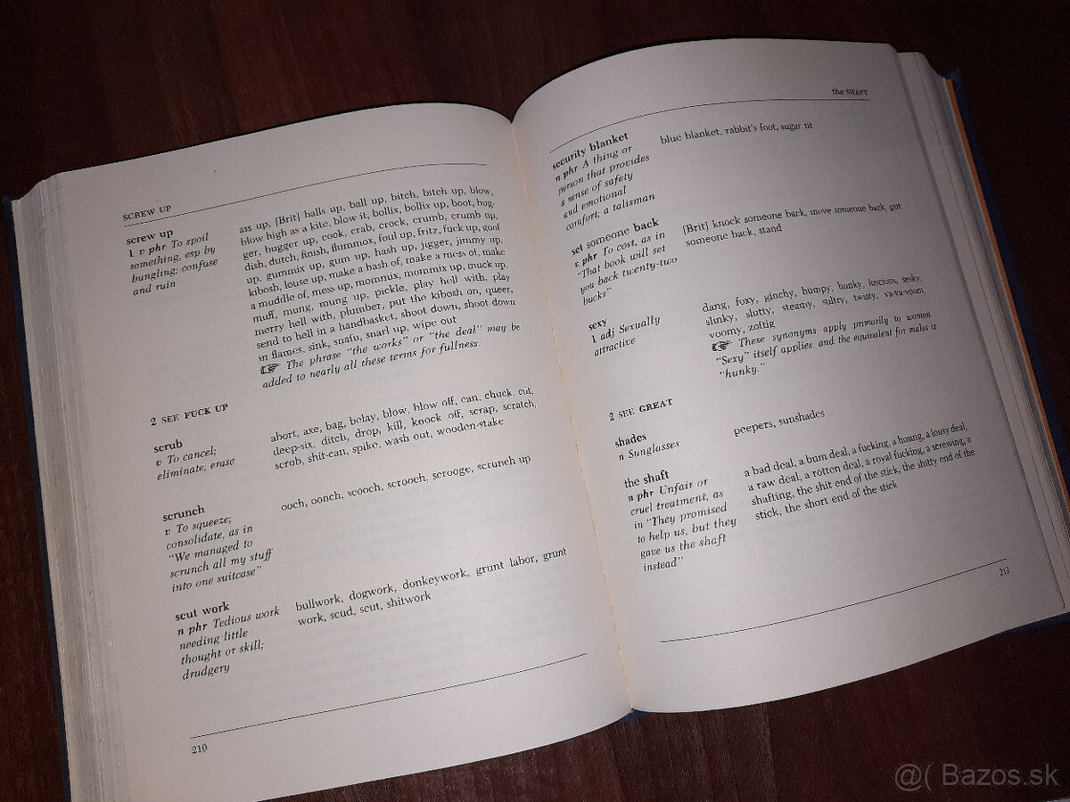 Slovníky angličtiny - 10