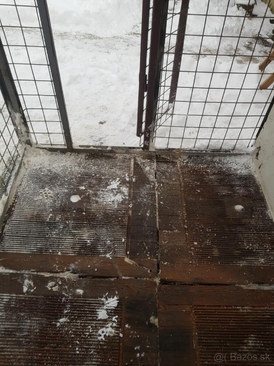 Koterec pre psa - 10