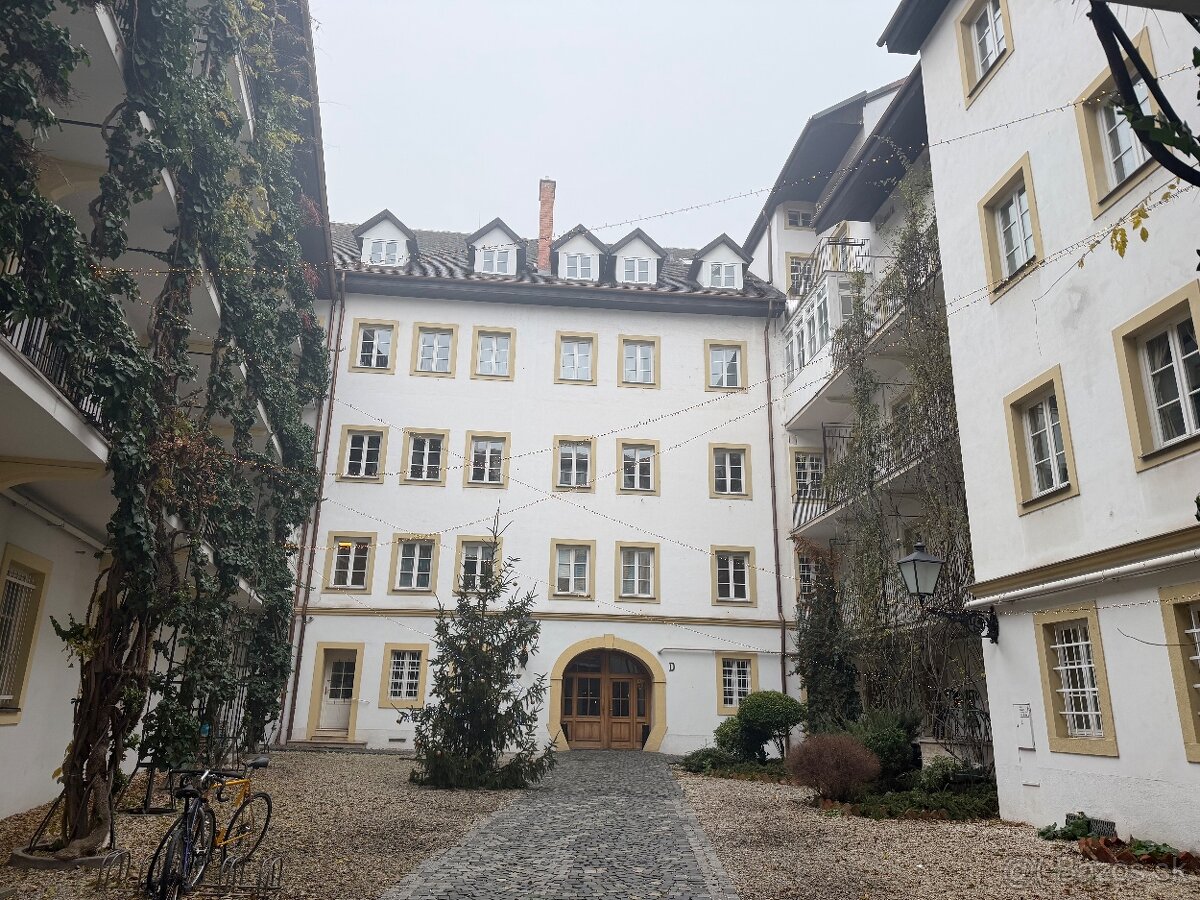 Veľký 1-i byt v pešej zóne centra Bratislavy (bez provízie) - 10