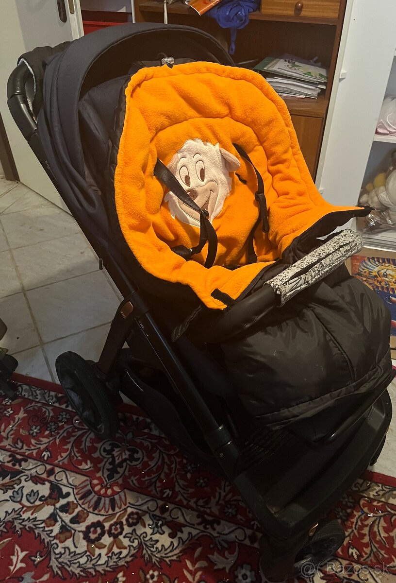 Inglesia aptica - 10