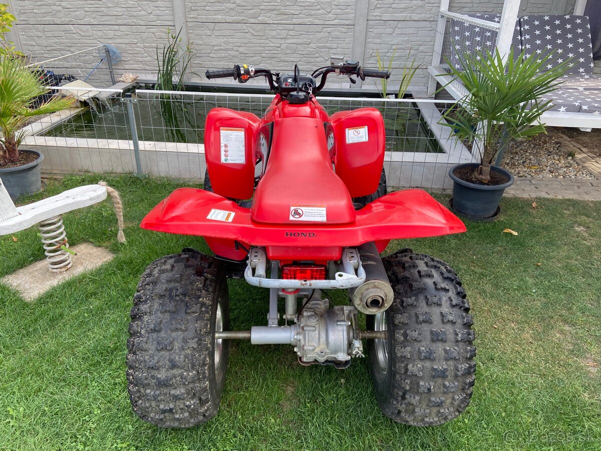 Honda TRX 250 - 10