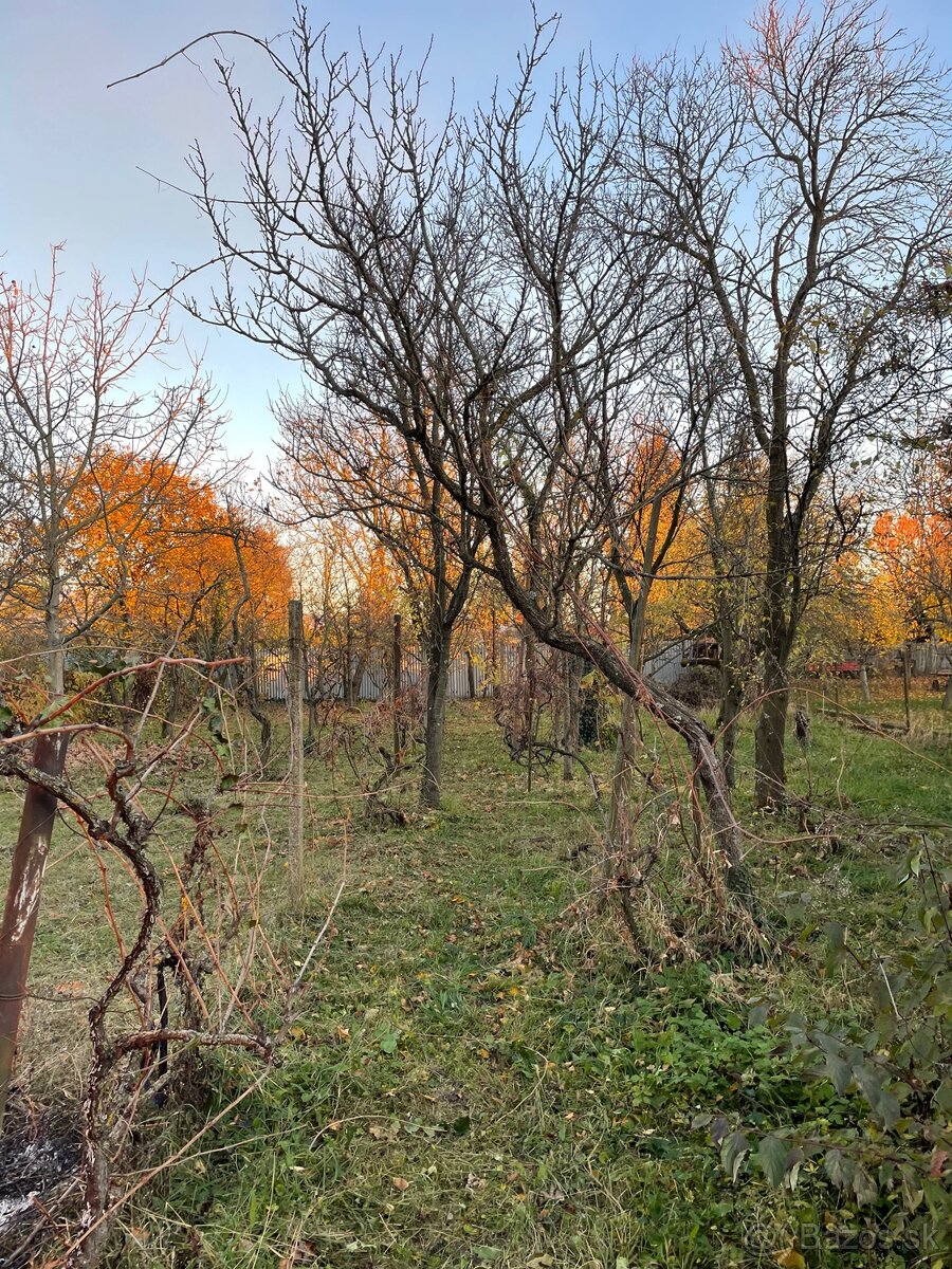 Rodinný dom v obci Tibava - 10