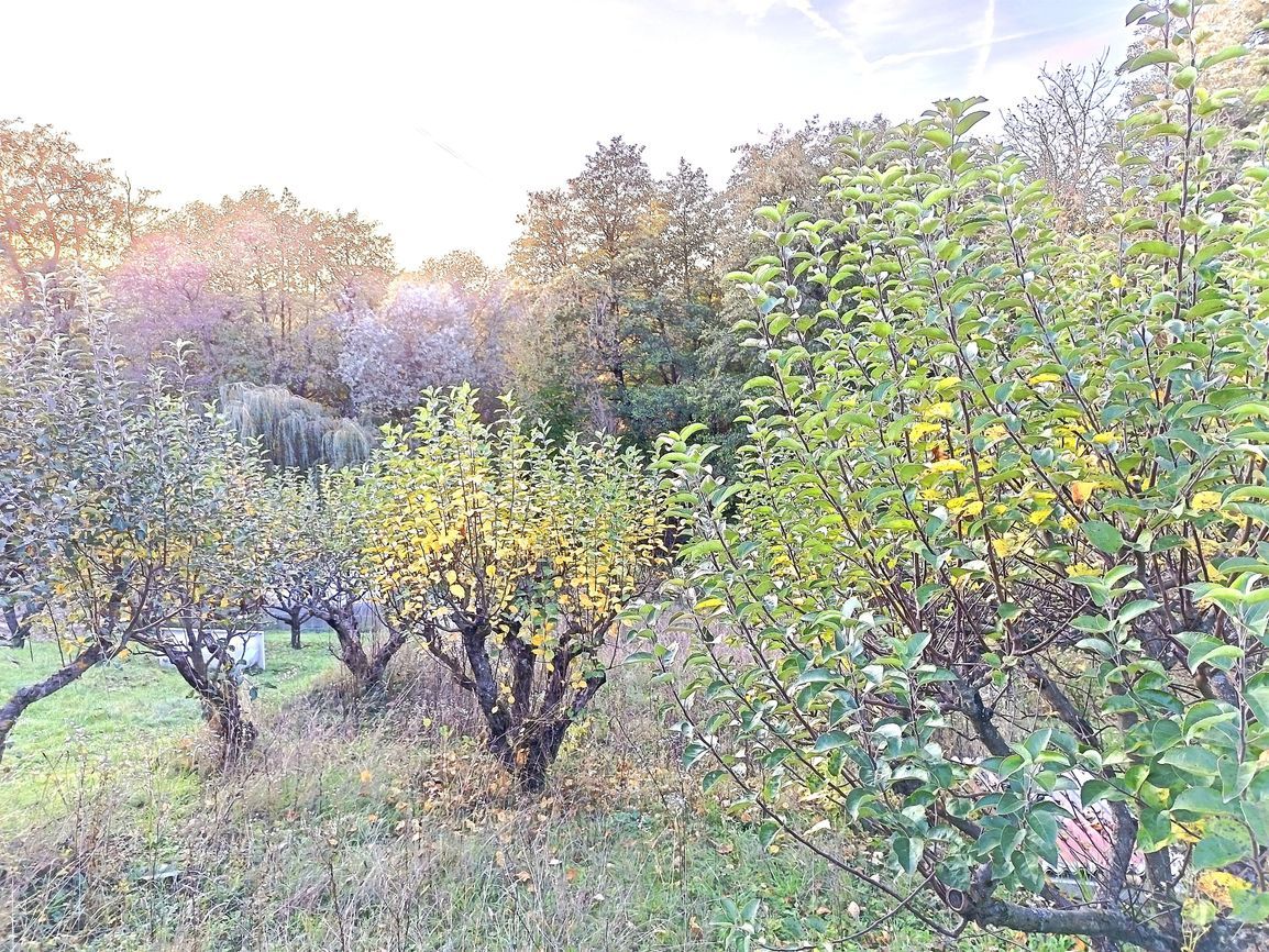 Predaj - záhrada s rozostavanou tehlovou chatou na okraji St - 10