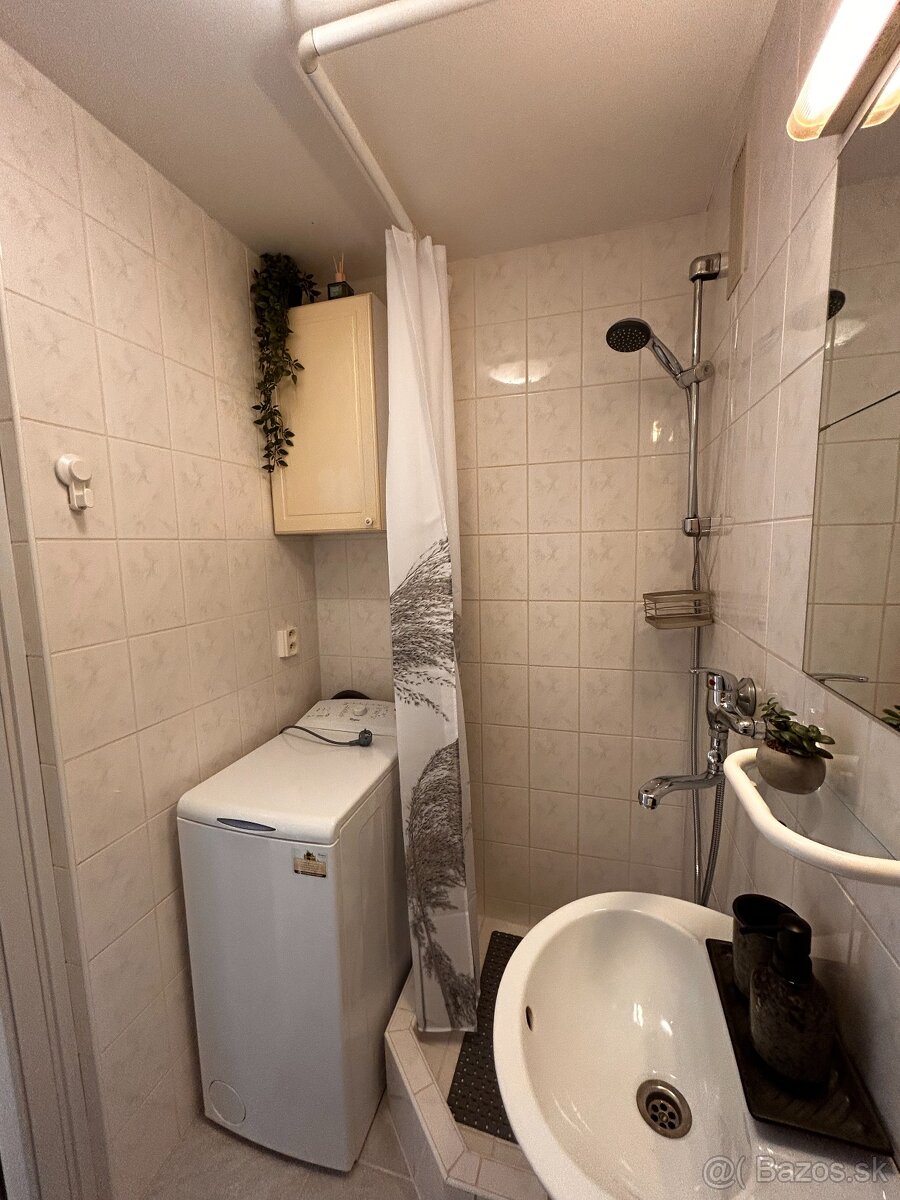 PET friendly útulná garsónka - 10