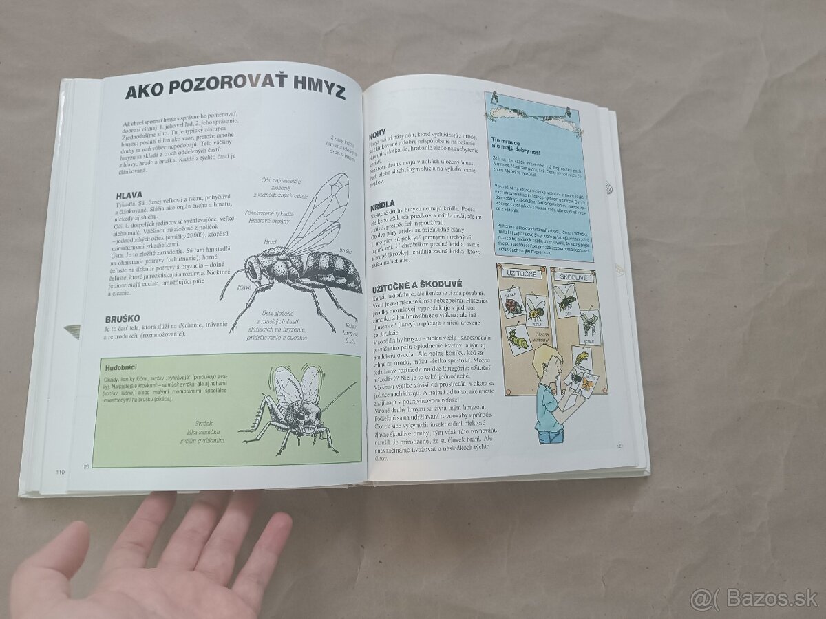 Renée Kayser: Priateľ lesa - 10