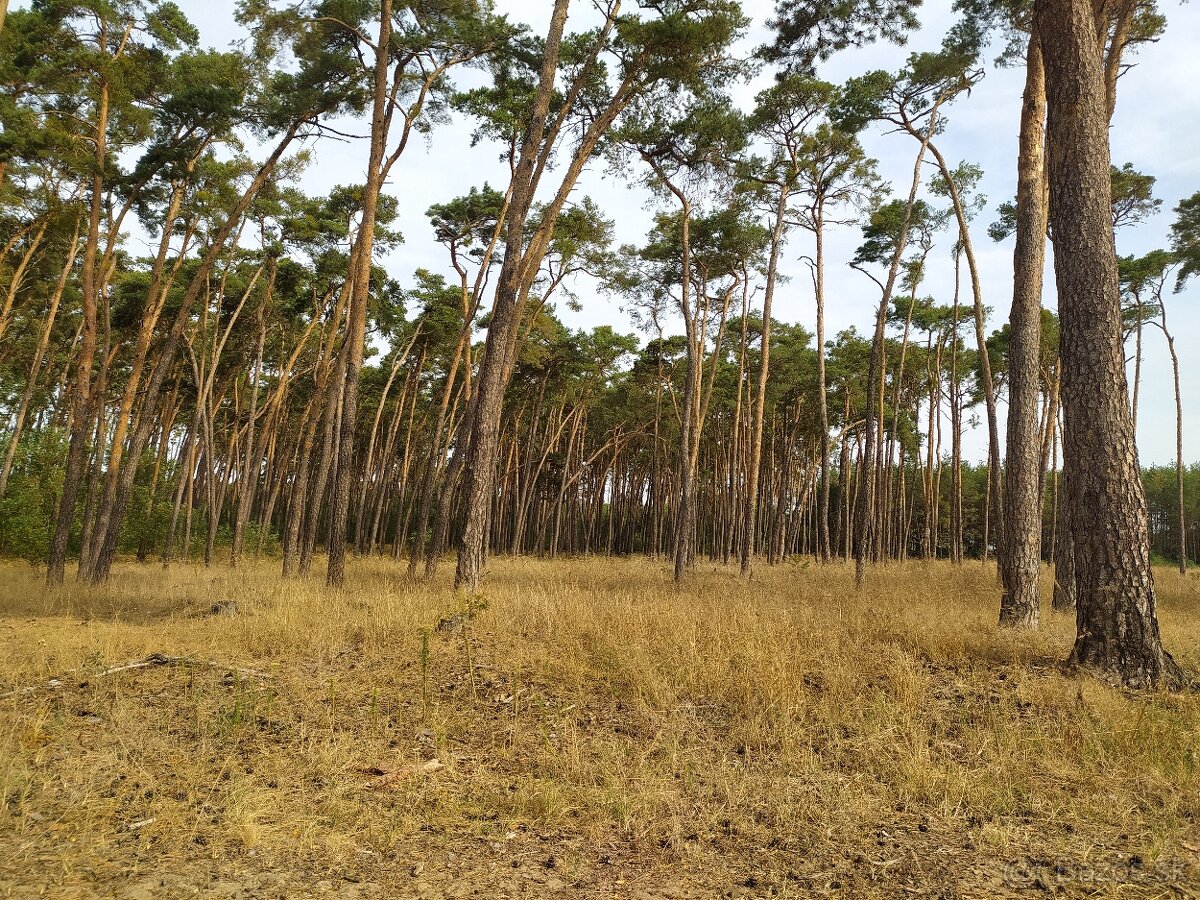 Hľadá sa nový majiteľ jedinečného pozemku v obci Láb. - 10