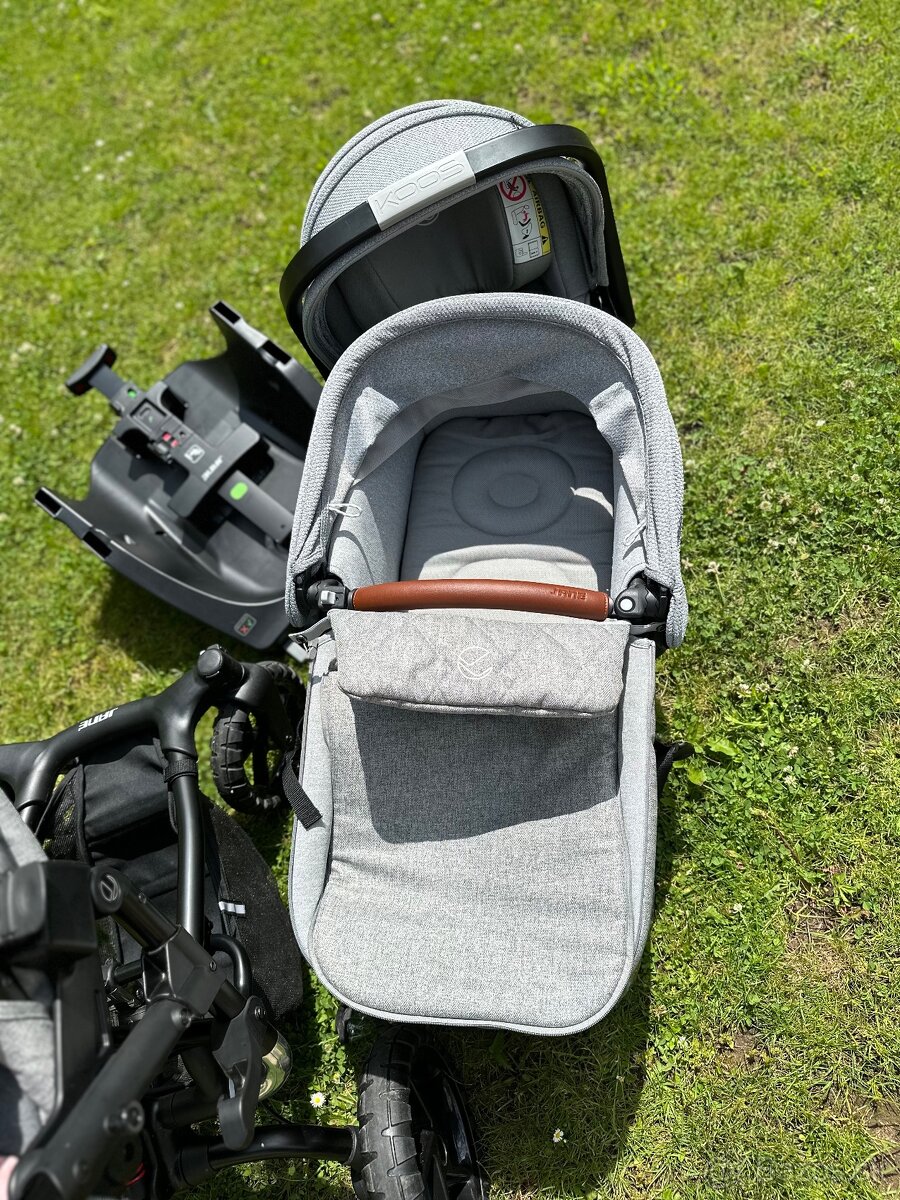 Kočík Jane Crosswalk R - 10