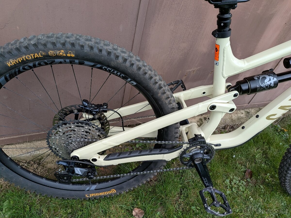 Canyon Torque Mullet AL - 10