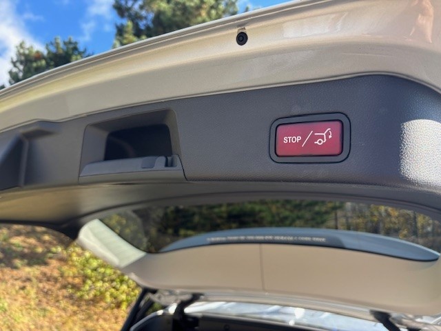 GLE 250 d 4Matic - 10