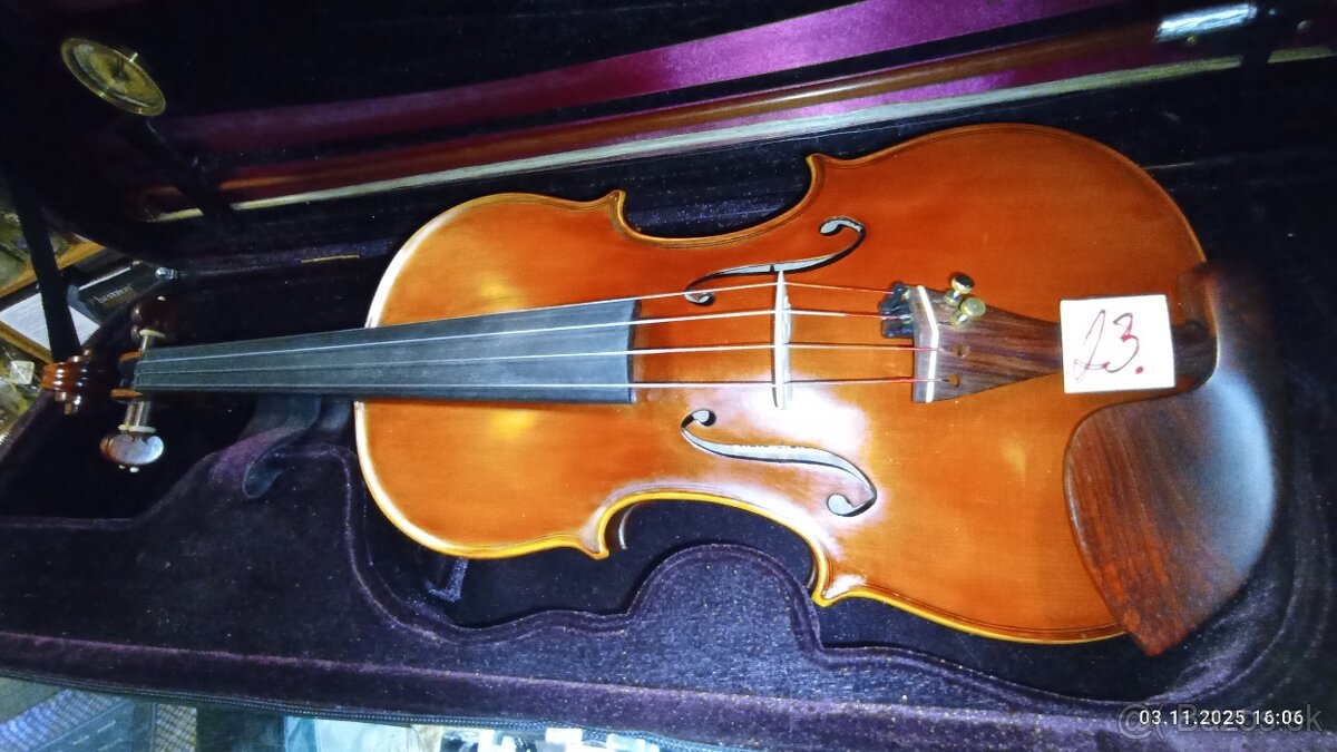 PROFESIONALNE HUSLE - 10