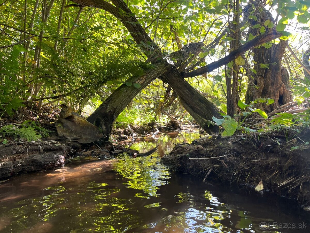 Samota na juhu stredného Slovenska - 10