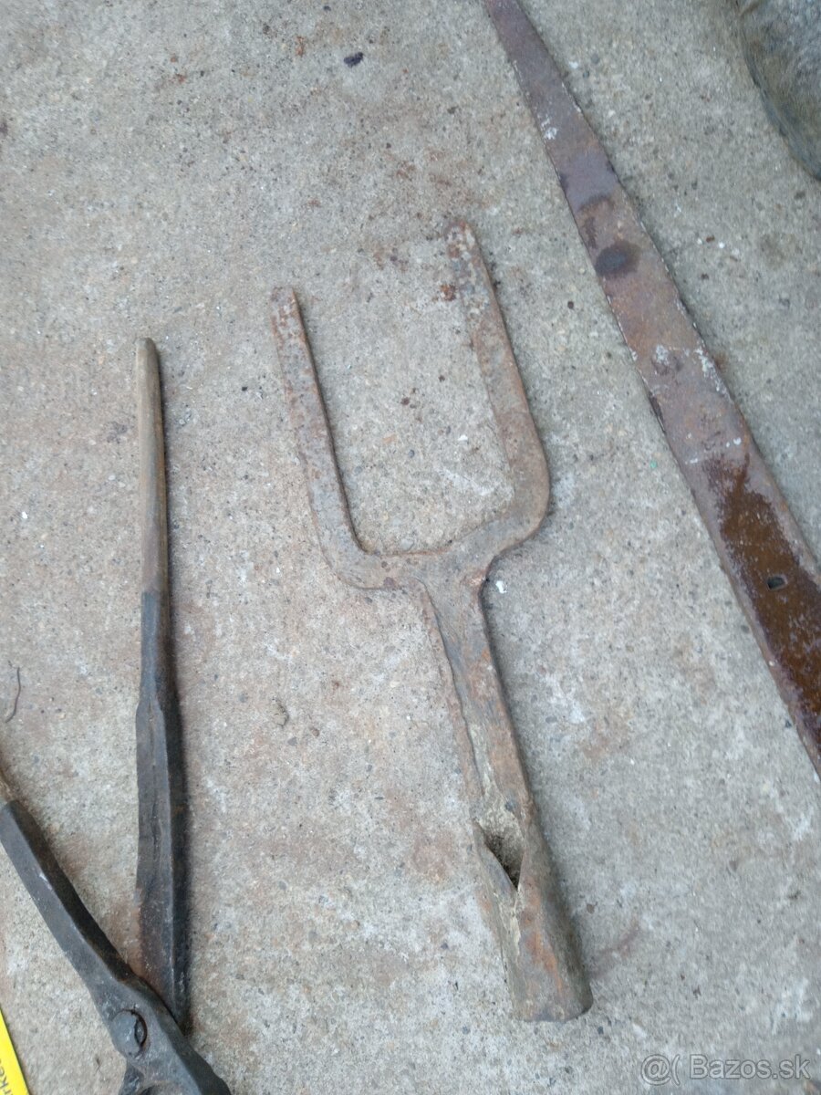 Kliešte.gule.panty. - 10