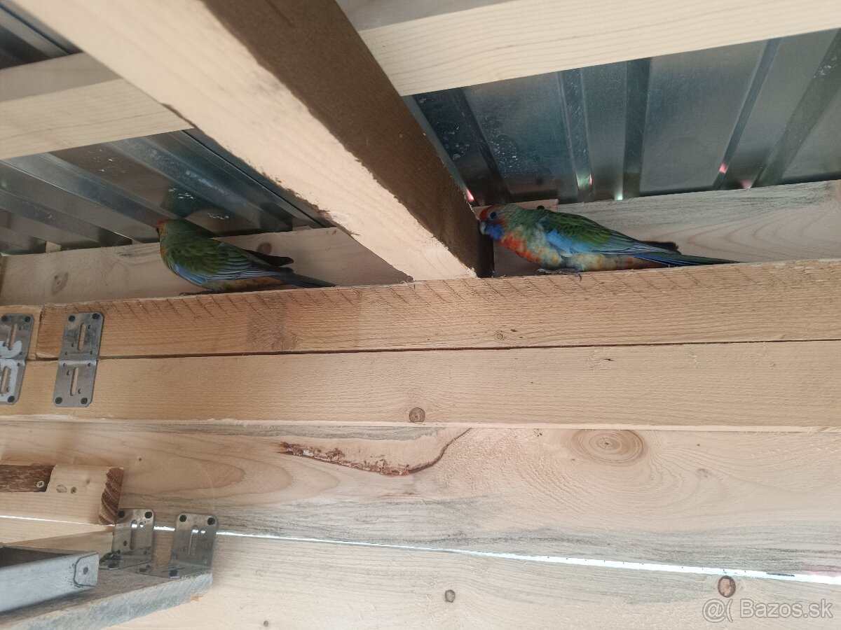 Predám - Rozela Adelaidská - 10