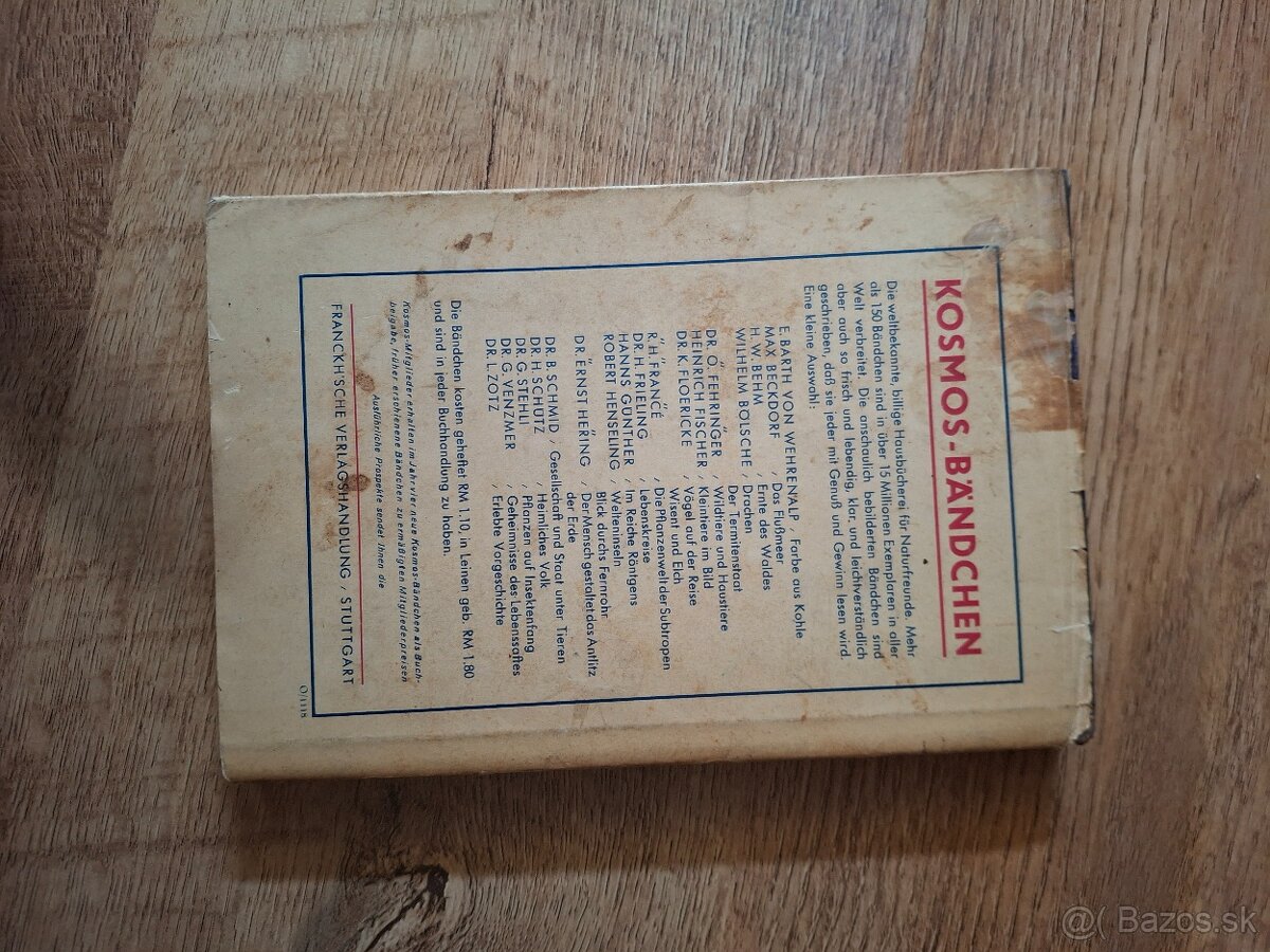 Was blüht denn da - 10