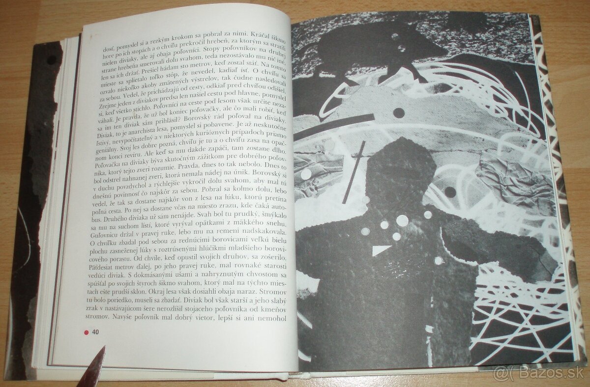 Poľovnícke tragédie - 10