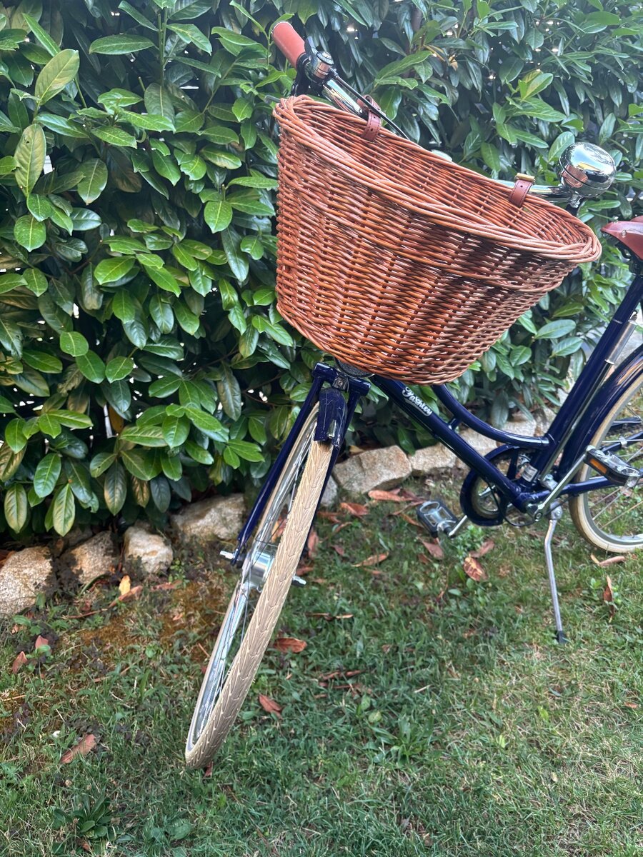 Pashley Britannia - 10