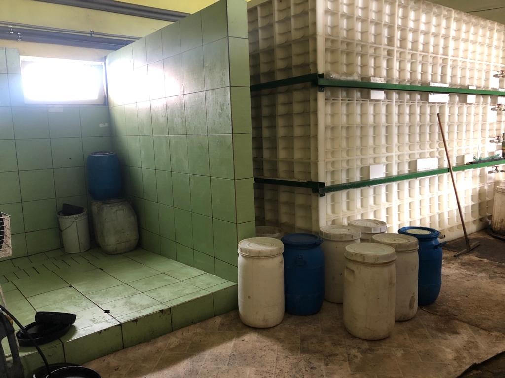 Na prenájom priemyselný areál pri ceste I/65 - 10