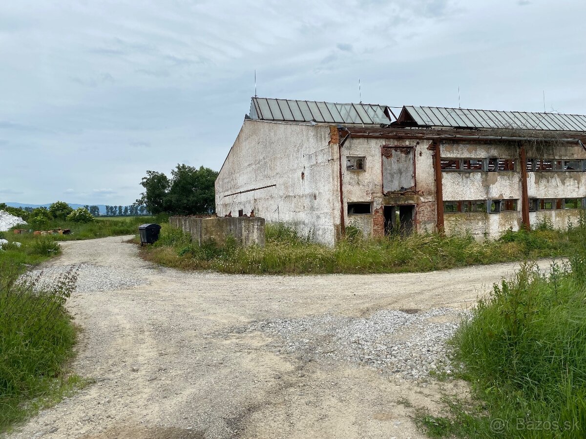 Hala s oceľovou konštrukciou 2878m2 , Rešica, sklad - výroba - 10