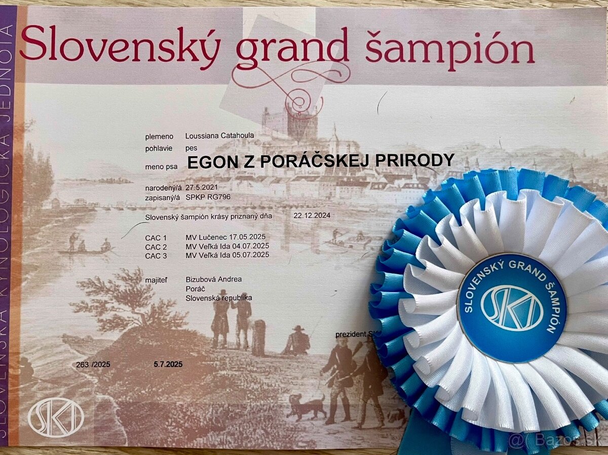 Louisianský leopardí pes - šteniatka s PP - 10