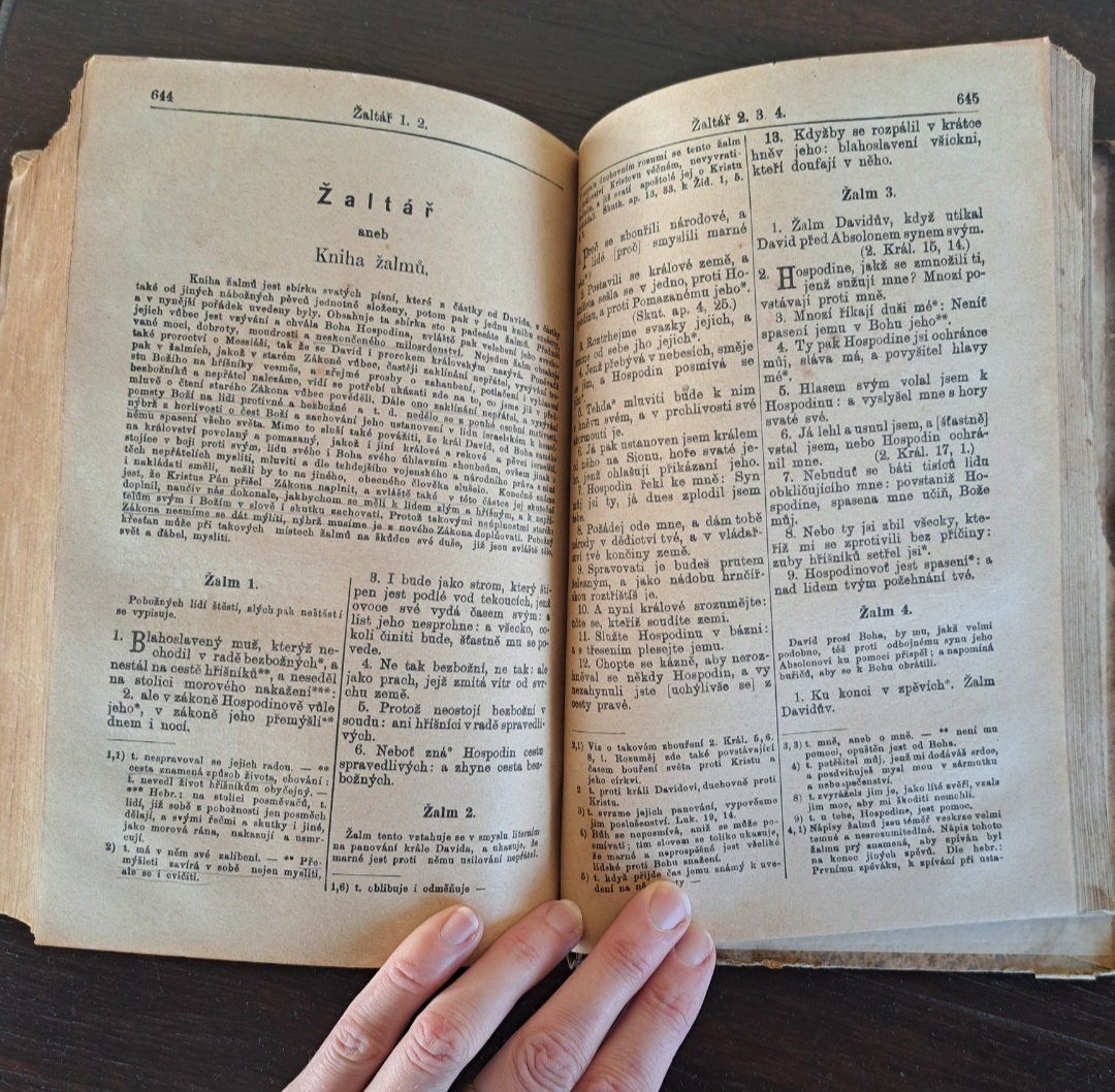 Biblie Česká 1889 - 10