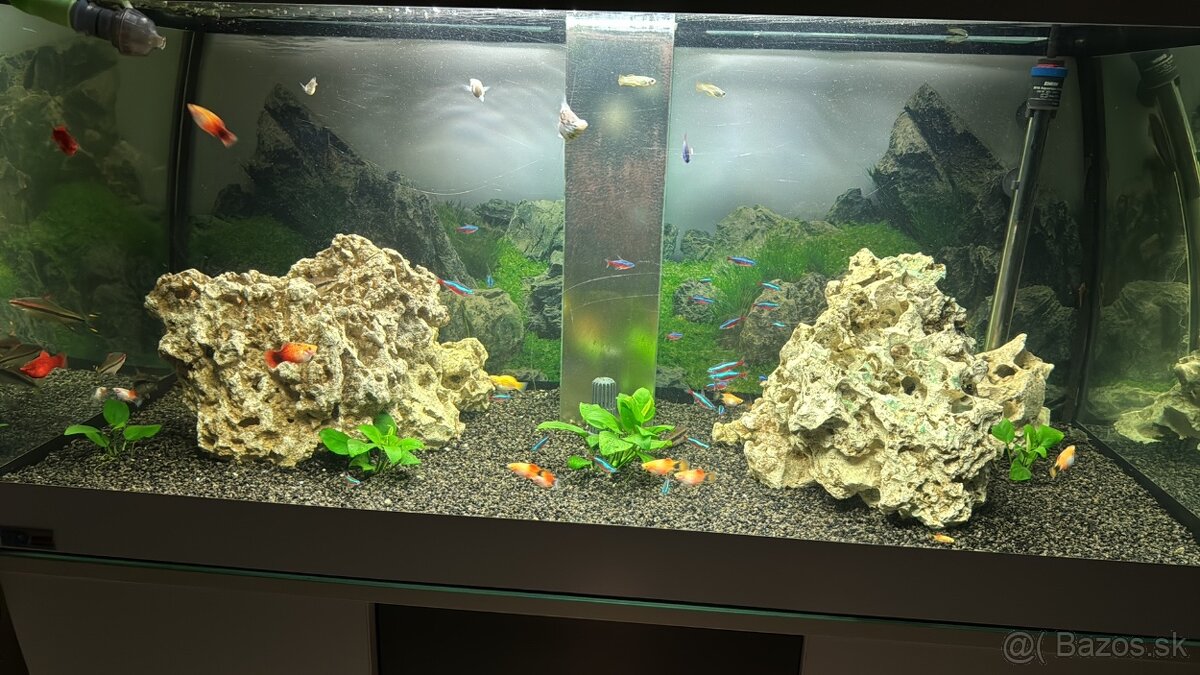 Predam dizajnové Akvarium Ehaim - 10