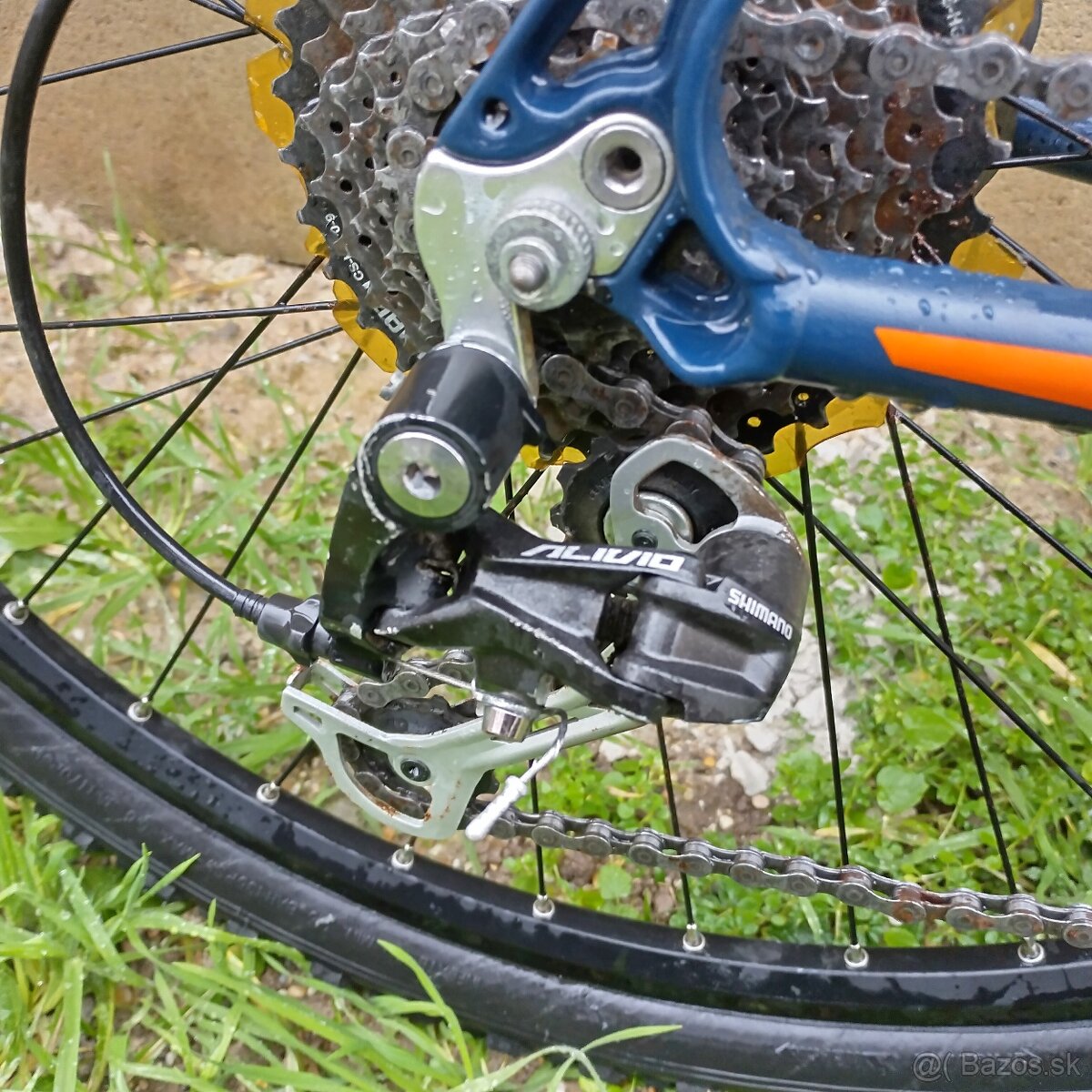 FOCUS whistler Hardtail - 10