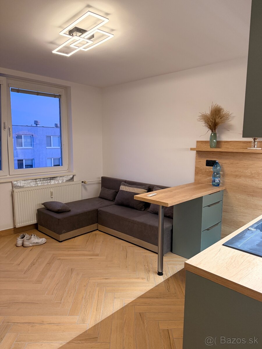 1.izbový byt na prenájom - 10