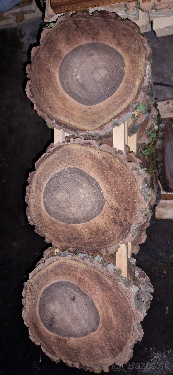 Orechové priečne rezy čerstvé - 10