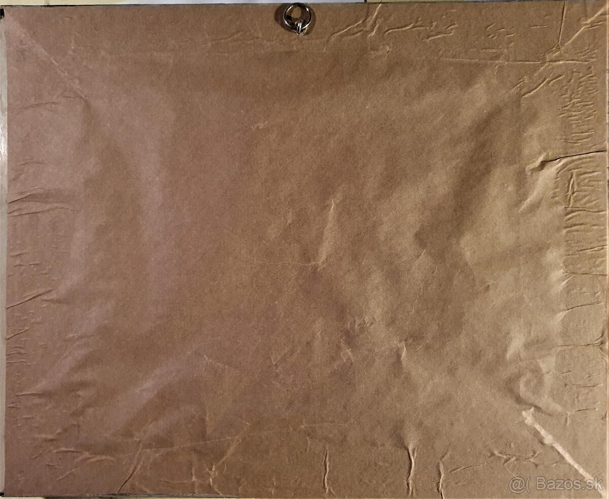 Predám obrazy zberateľovi (5) - 10