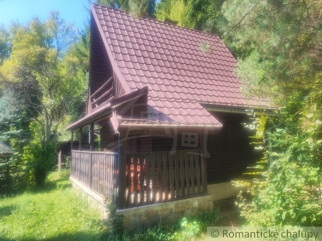 Chata uprostred lesa neďaleko viacerých lyžiarskych stredí - 10